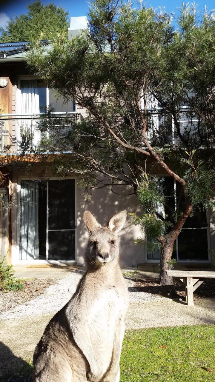 Yha Grampians Eco, Halls Gap Bagian luar foto